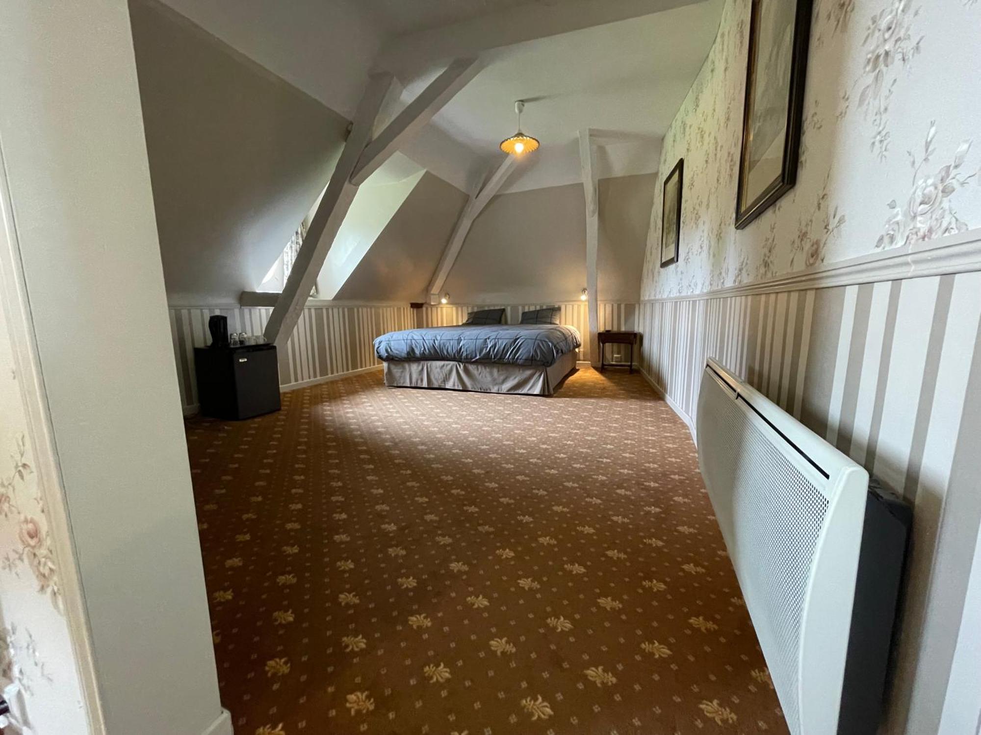 Chateau De La Coutanciere Brain-sur-Allonnes 외부 사진